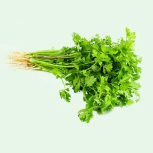 Coriander Leaf – 1 bundle