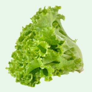 Lettuce Leaf – 1 bundle