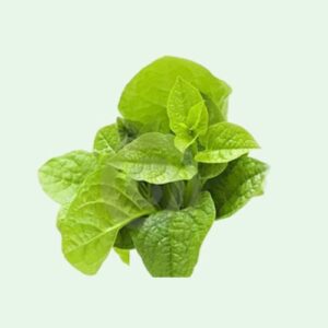 Pui Spinach – 1 bundle