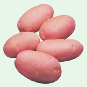 Red Potato – 1 kg