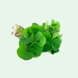 Thankuni Leaf – 1 bundle