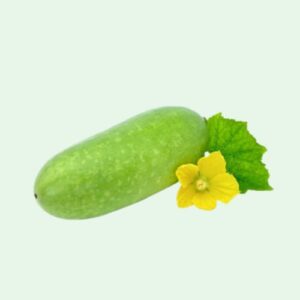 Water Pumpkin – 1 pc